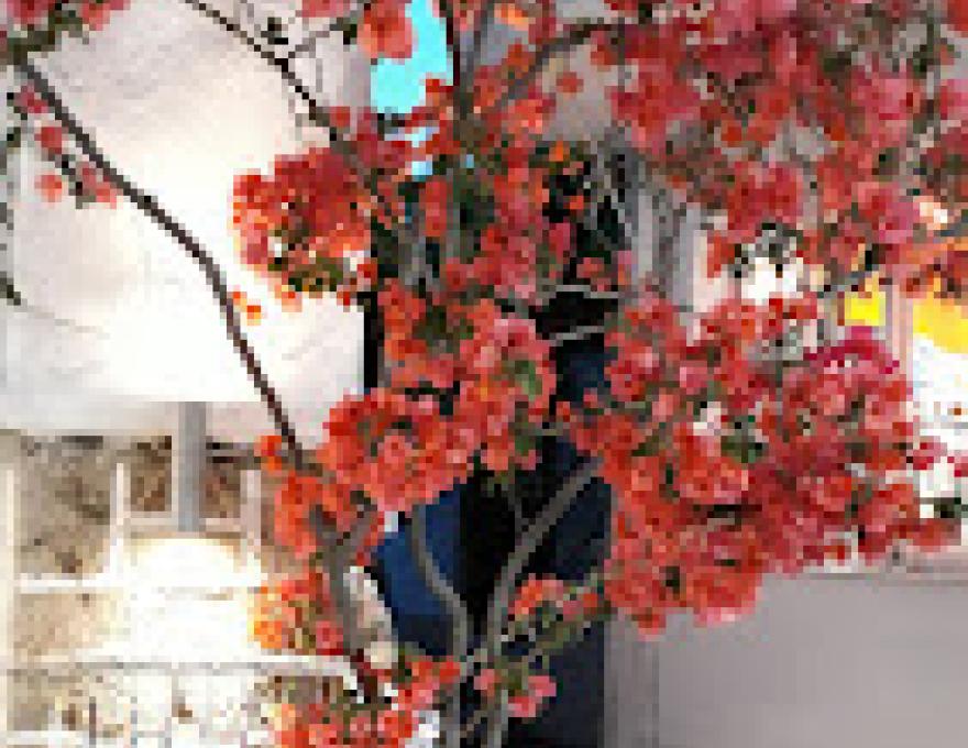 Ηρώον Cafe-bar1