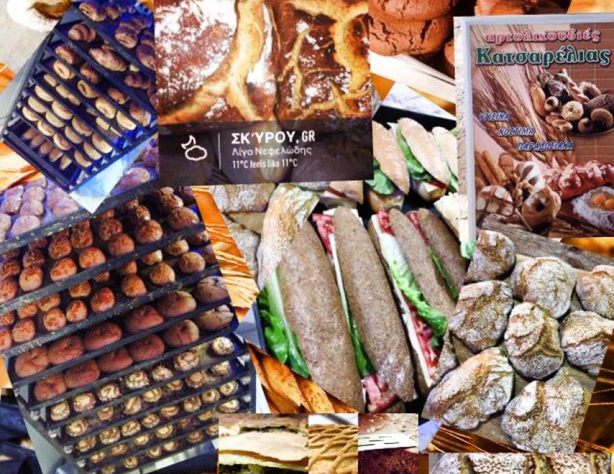 ΚΑΤΣΑΡΕΛΙΑΣ ΔΗΜΗΤΡΗΣ3