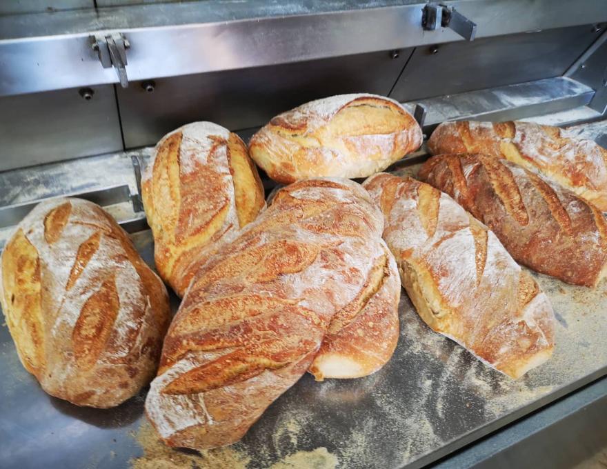 ΚΑΤΣΑΡΕΛΙΑΣ ΔΗΜΗΤΡΗΣ1