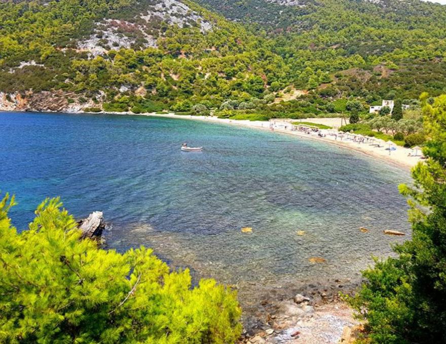 Παραλία Πεύκος3