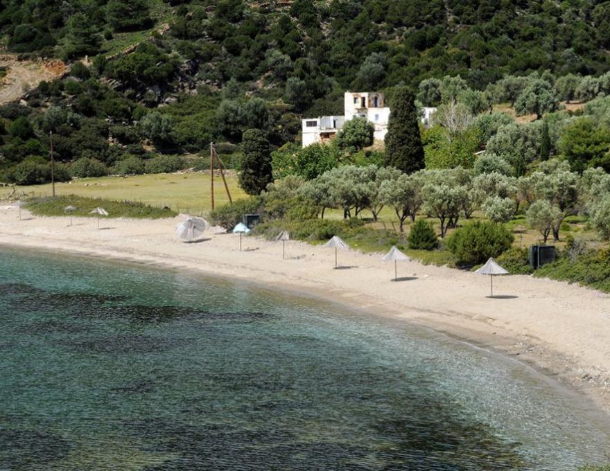 Παραλία Πεύκος1