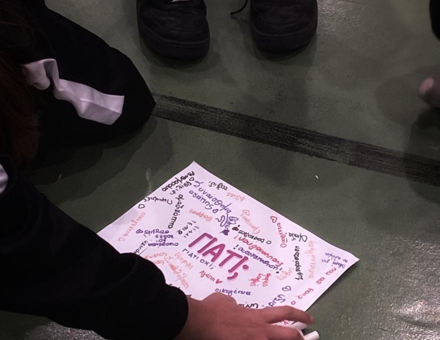 Πελασγοί TaeKwonDo2