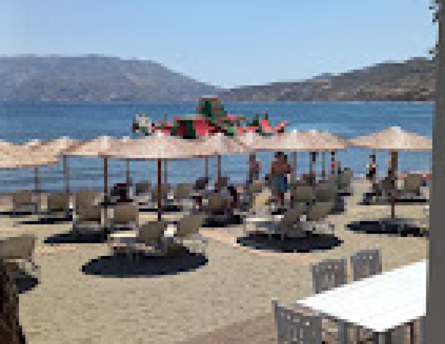 Asterias Restaurant4