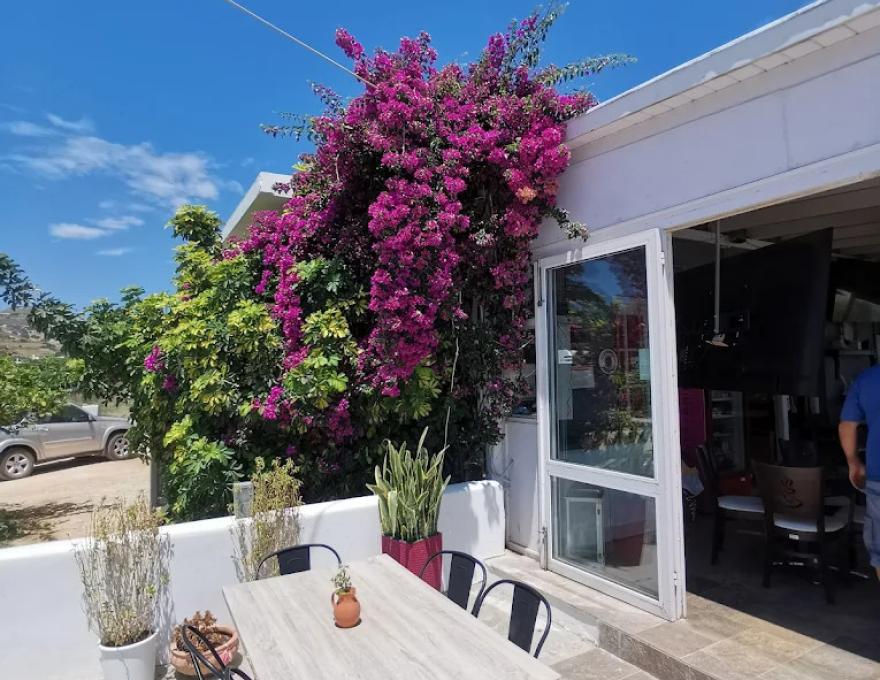 Katsarelias Bakery & Pizza0