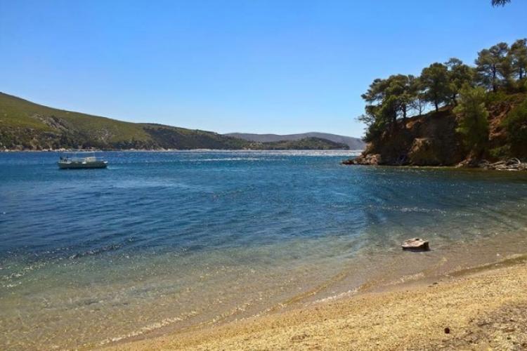 Παραλία Άγιος Φωκάς