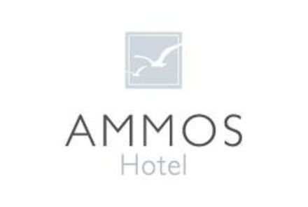 Skyros Ammos Hotel